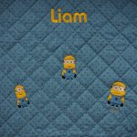 Overzicht plaid met minions