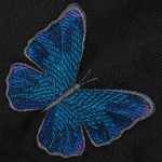 Blauwe vlinder