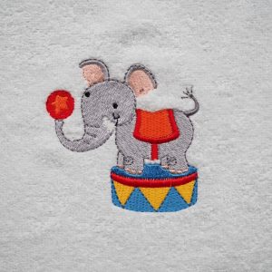 circus olifant - Cezar